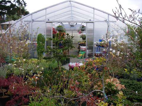 Ladybug Greenhouse Ladybug Greenhouse